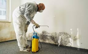 Mold Remediation for Vacation Homes in Gang Mills, NY